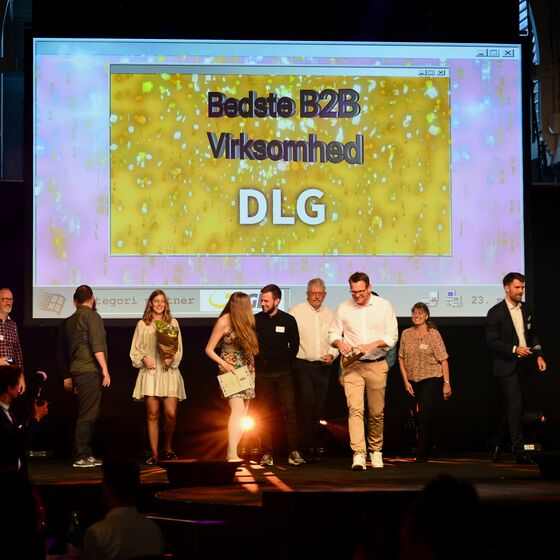 DLG wins gold at E-commerce Award 2019 DLG wins gold at E-commerce Award 2019