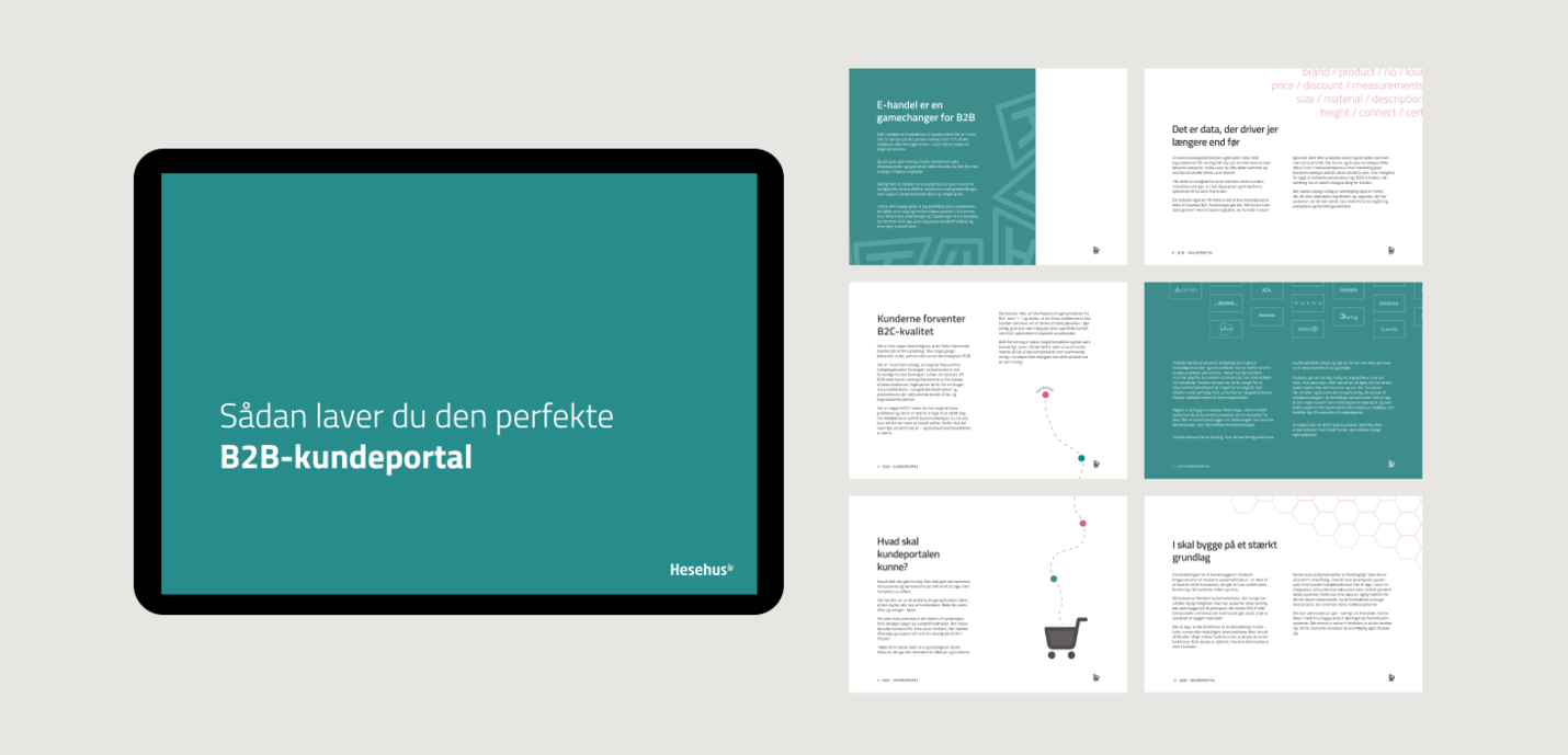 B2B_whitepaper_Hesehus