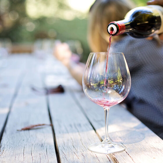 H.J. Hansen Vin vælger Hesehus H.J. Hansen Vin vælger Hesehus