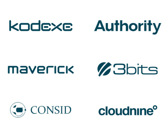 Bizzkit's six solution partners Bizzkit's six solution partners