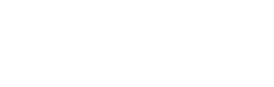 Strategic E-commerce for Export